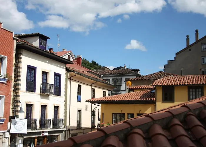 Apartamento La Refierta Cangas De Narcea admite animales