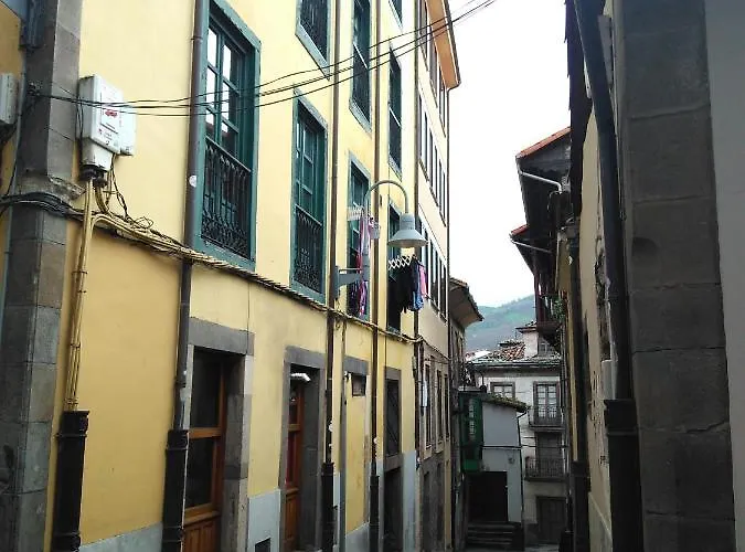 Apartamento La Refierta Cangas De Narcea admite animales