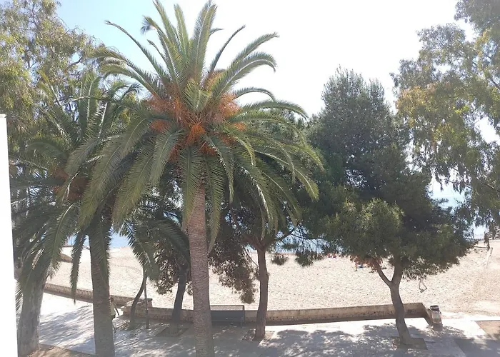La Vela Al Vent Apartamentos Sant Carlos de la Ràpita