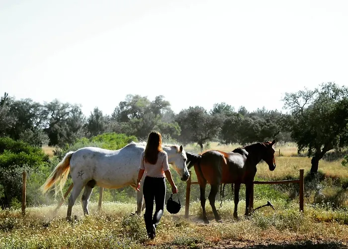 Hotéis de três estrelas em Alentejo