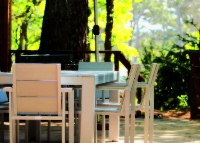 Villa Oasis à Arcachon