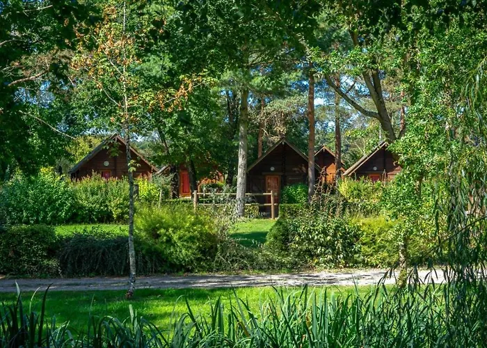 Hotel Le Domaine du Cerf Blanc à Carentoir acceptant les animaux