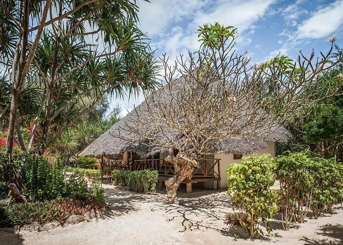 Hakuna Majiwe Beach Resort Paje