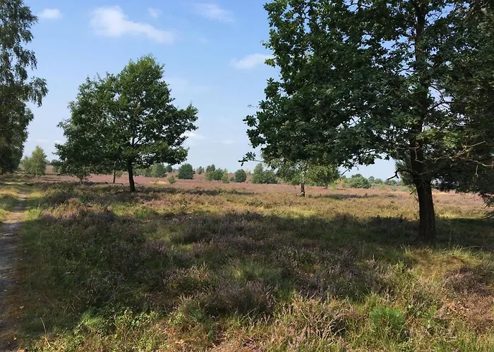 Haustierfreundliches Ferienhof Timmerloher Heide Soltau