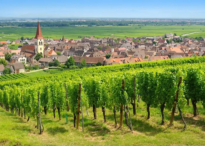 Aparthotel Goélia Le Domaine du Golf à Ammerschwihr