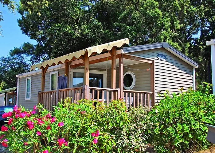 Camping Parc Mogador Sanary-sur-Mer