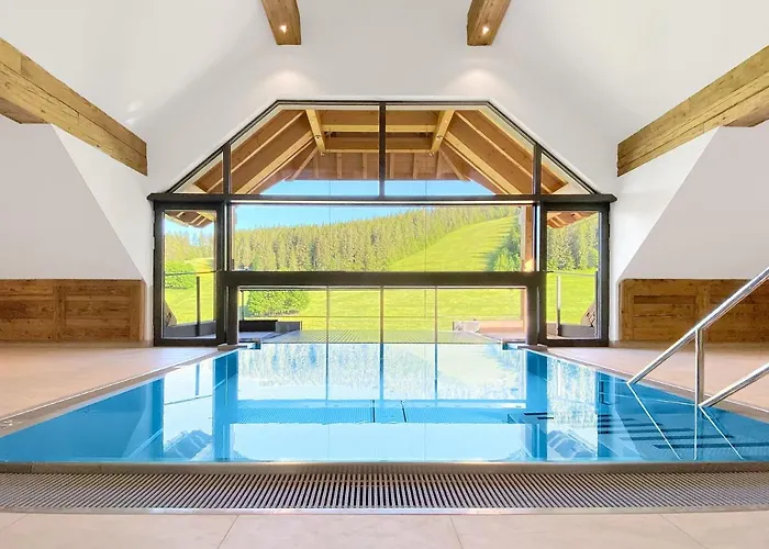 Boutique Schwarzenbach - Apartments & Rooftop Pool Feldberg 