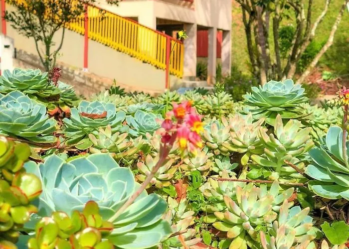 Sitio Dos Palmitos - Casa Pupunha