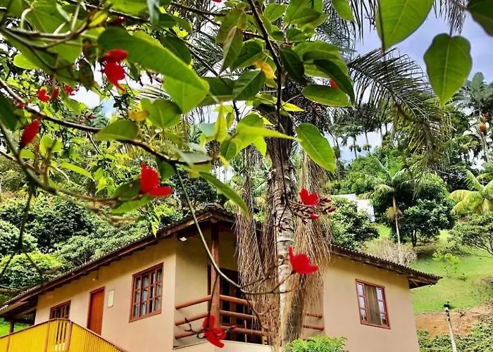Sitio Dos Palmitos - Casa Pupunha