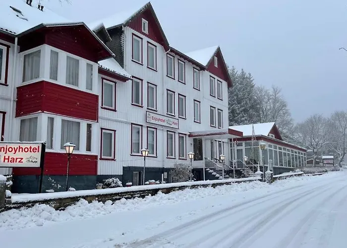 Huisdiervriedelijke Hotel Harz Goslar