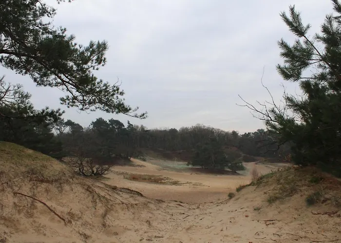 Camping het Smitske Drunen