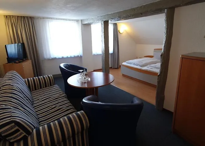 Huisdiervriedelijke Hotel Zur Krone Hamelin