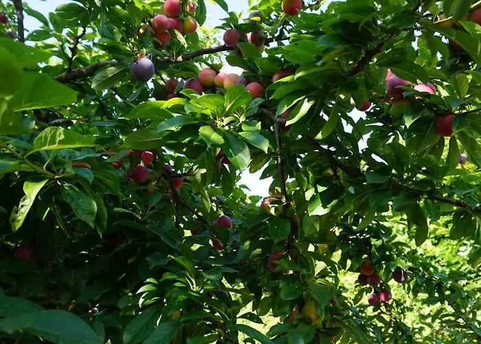 Agriturismo U muinettu La Spezia