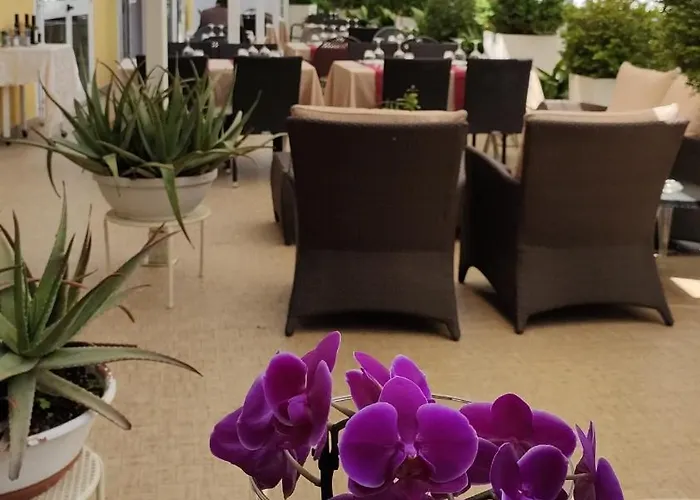 Belvedere Resort Ai Colli Galzignano Terme