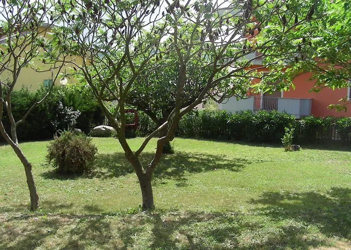 Pier Delle Vigne B&B Pineto che accetta animali