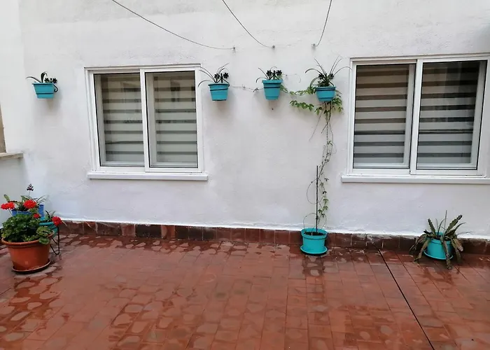 Colores Oviedo admite animales