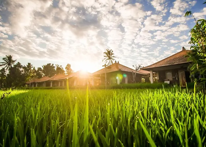 Villa Sri Lestari Banyuatis à Munduk avec Piscine