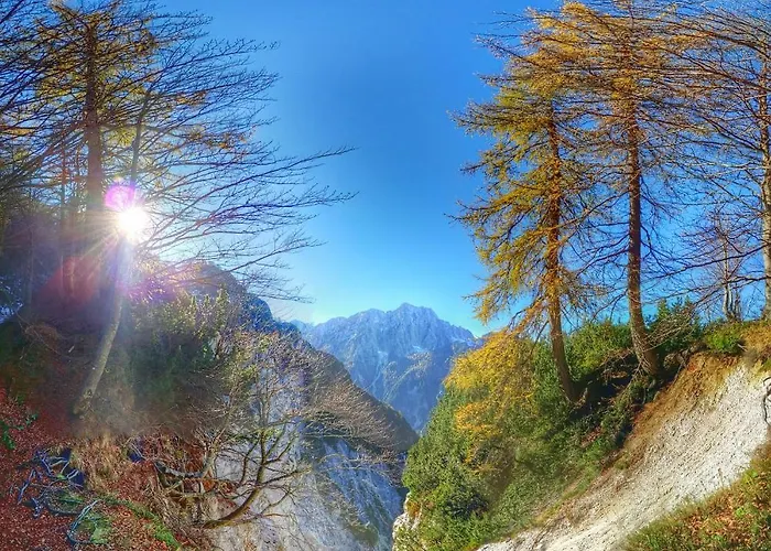 Haustierfreundliches Hotel Vitranc Kranjska Gora