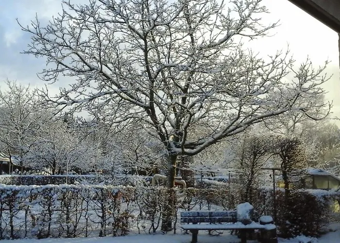 B&B De Vlinder Hardenberg