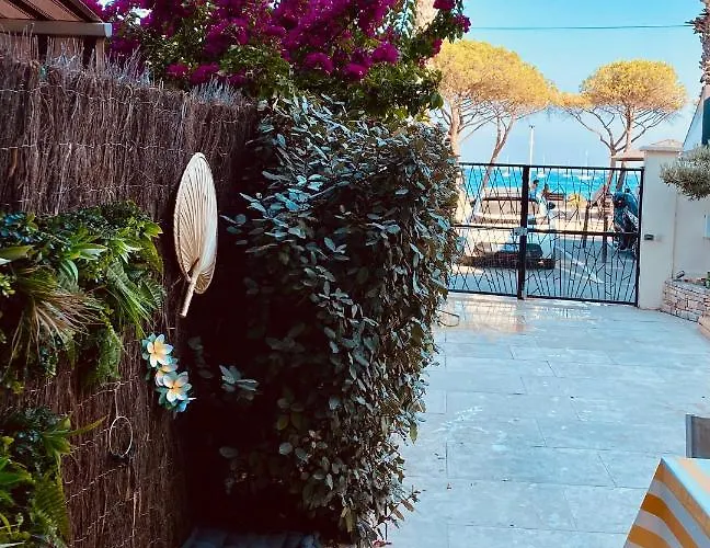Bord de mer la Ciotat
