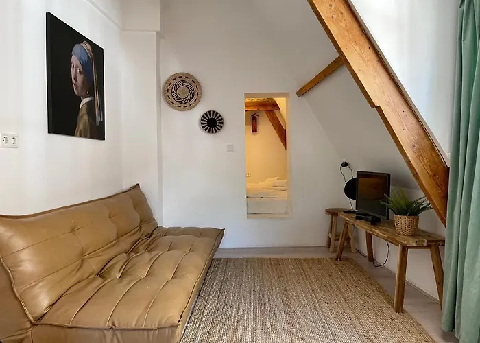 Tiny Private City Rooms Haarlem