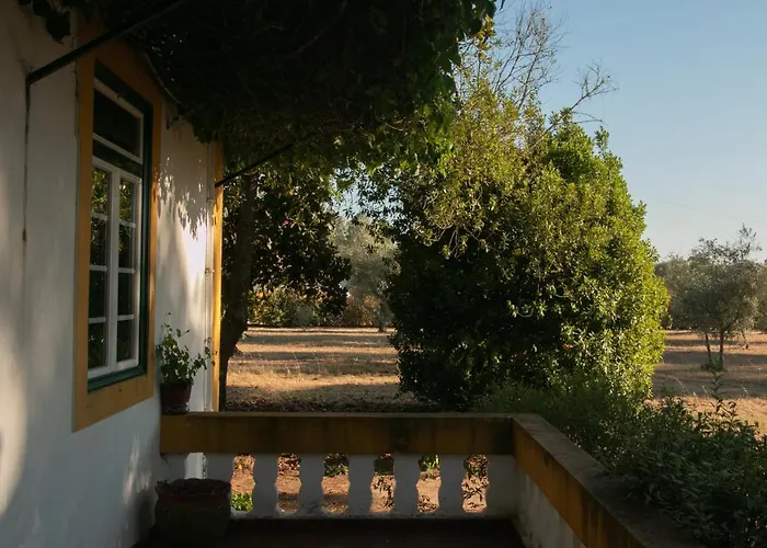 Quinta de SantAna da Várzea Abrantes