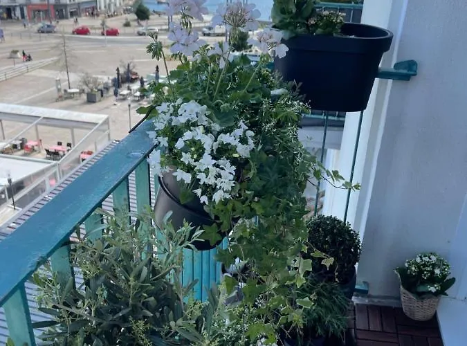 Appartement Le Siam à Brest