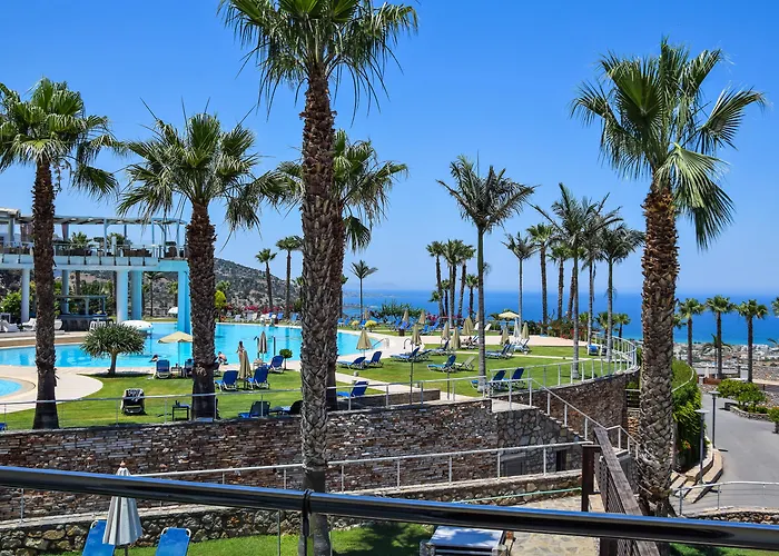 Dog Friendly Hotels in Malia