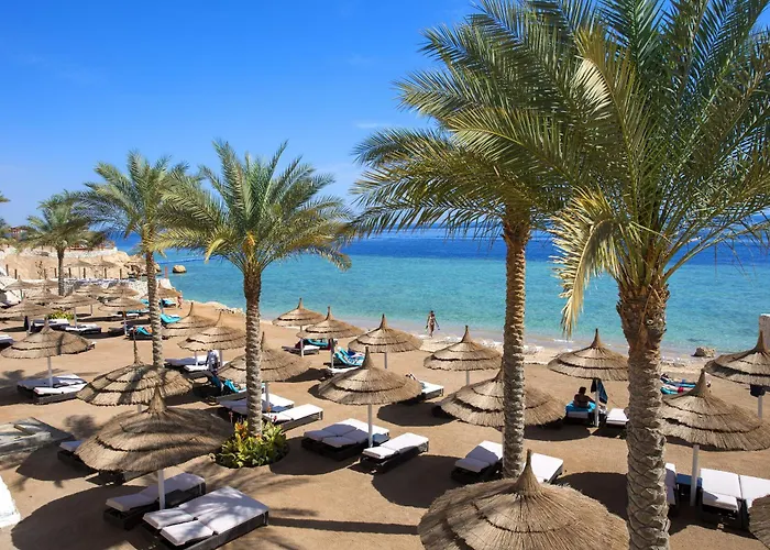 Sunrise Montemare Resort -Grand Select (Adults Only) Sharm El-Sheikh