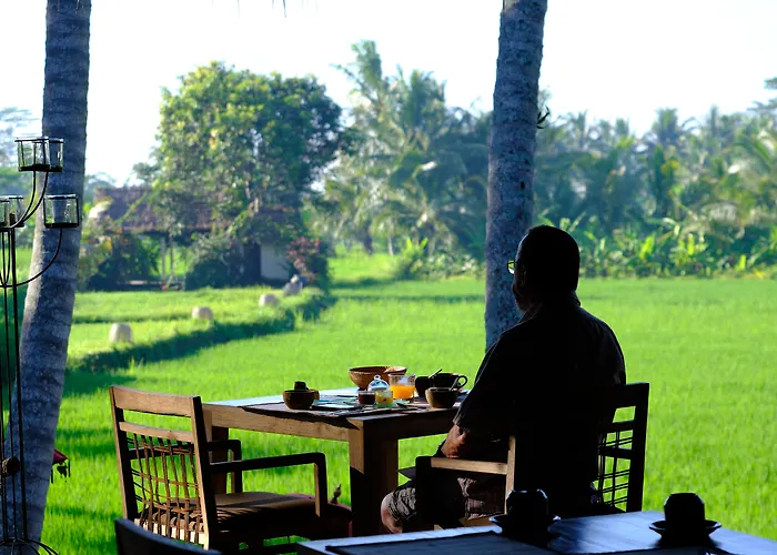 Mathis Retreat Ubud - Hôtel 4 étoiles