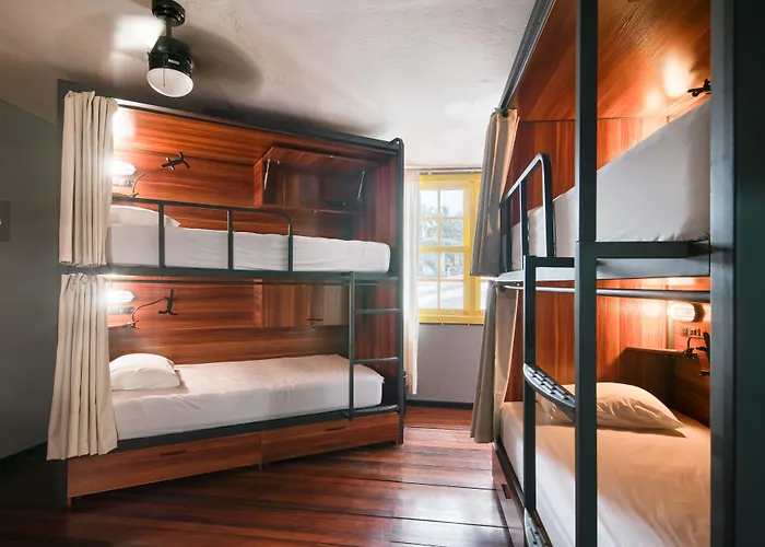 Hotel Slumber Party Tamarindo acceptant les animaux