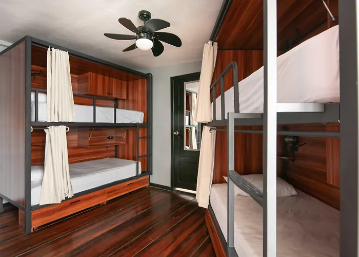 Hotel Slumber Party Tamarindo acceptant les animaux