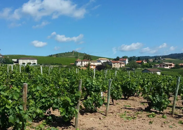 Logis Hotel Des Grands Vins Fleurie