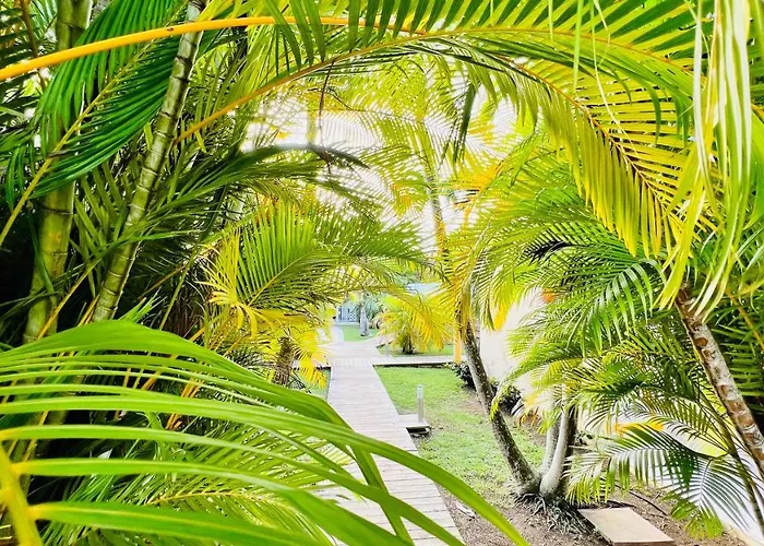 Île tropical lodges Sainte-Anne 