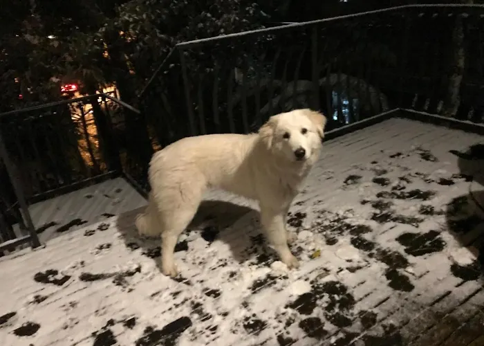 Chalés de luxo de Gramado