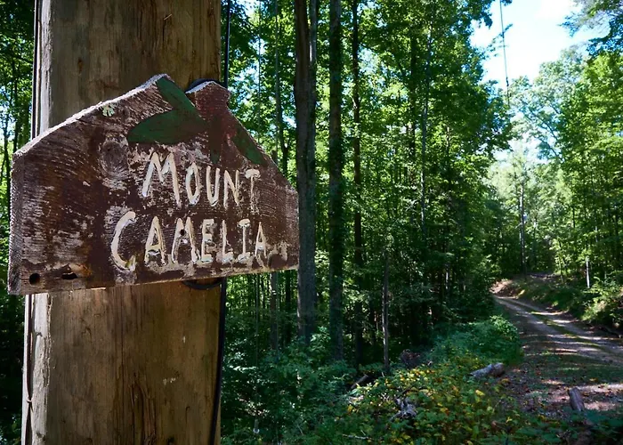 Gatlinburg Adventure Cabins