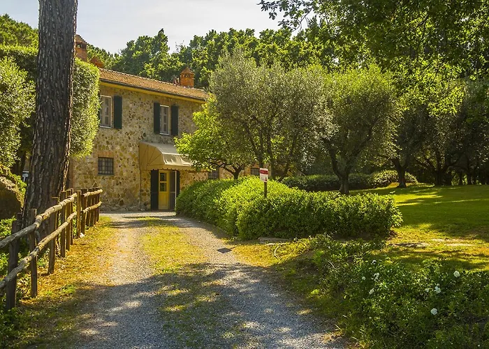 Fattoria Di Magliano Winery