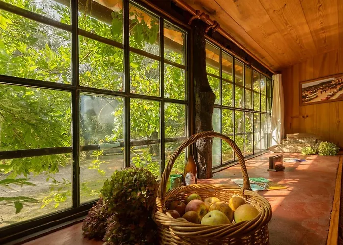 Chalé da Quinta Lavoura da Bouça - Fruta Bio Celorico De Basto aceita animais de estimação