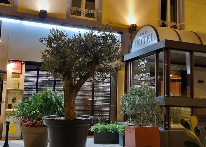 Logis Hotel Schaeffer- Restaurant Le Saint Georges Serrières-en-Chautagne
