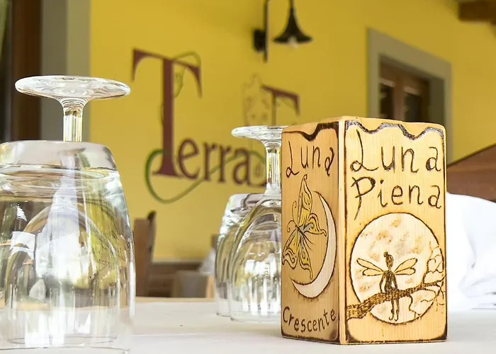 Agriturismo Terra Di Elea Ascea