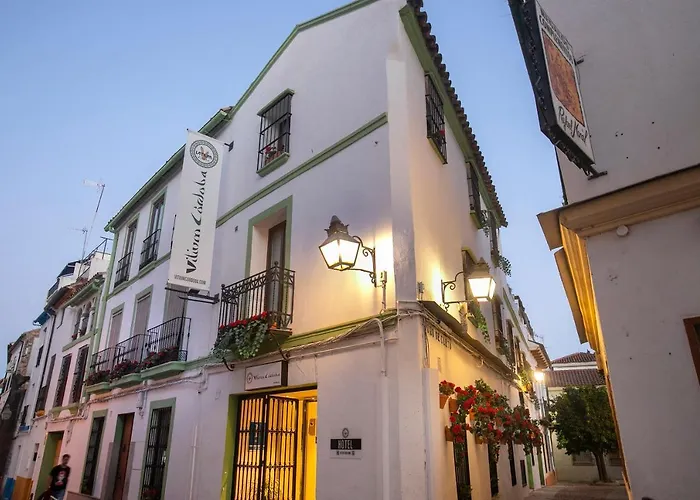 Vitium Córdoba