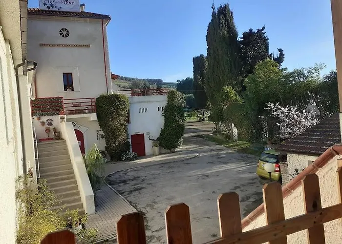 Pier Delle Vigne B&B Pineto che accetta animali