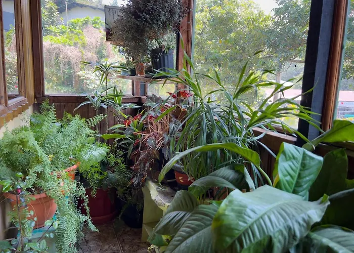 Casa Tranquilo Hostel Monteverde