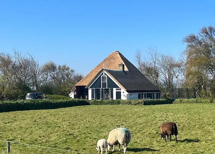Zuid Haffel Villa Den Burg