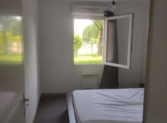 Appartement T2 Limoges acceptant les animaux