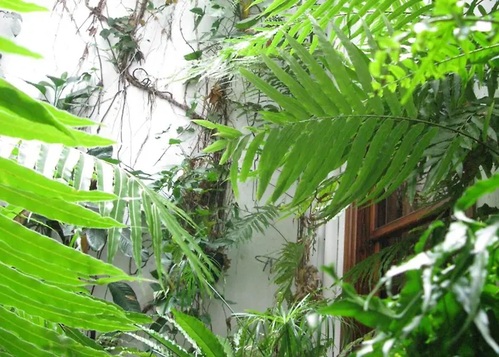 Apartamentos La Fuente