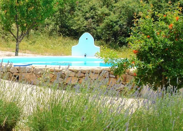 Quinta Do Marvao Casa de hóspedes aceita animais de estimação