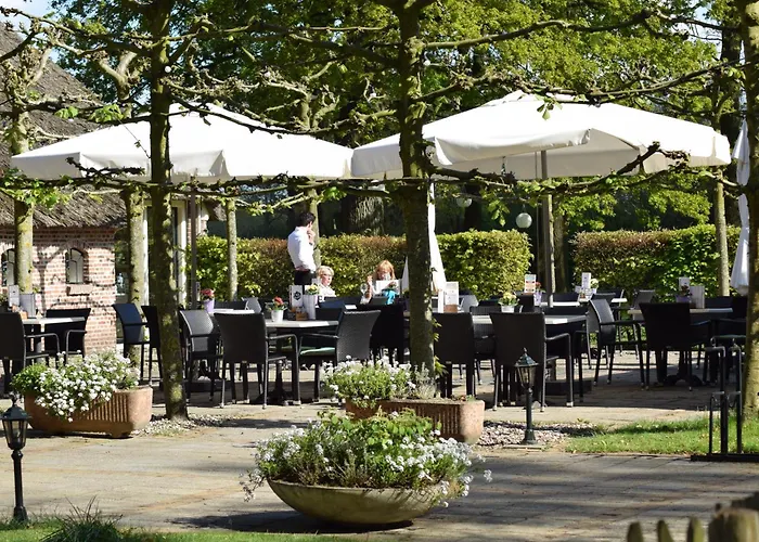 Huisdiervriendelijke hotels in Drenthe