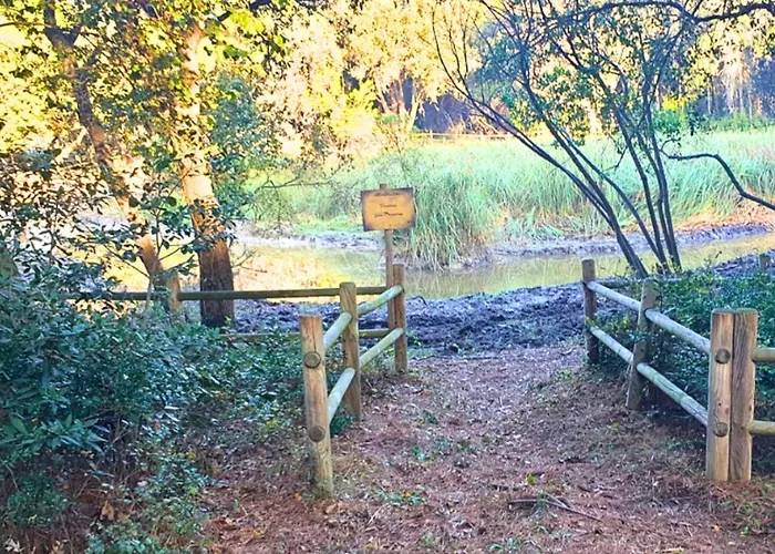 Agricampeggio La Pineta Lesina che accetta animali