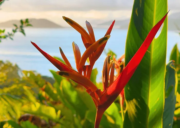 Bangalô Ilhabela